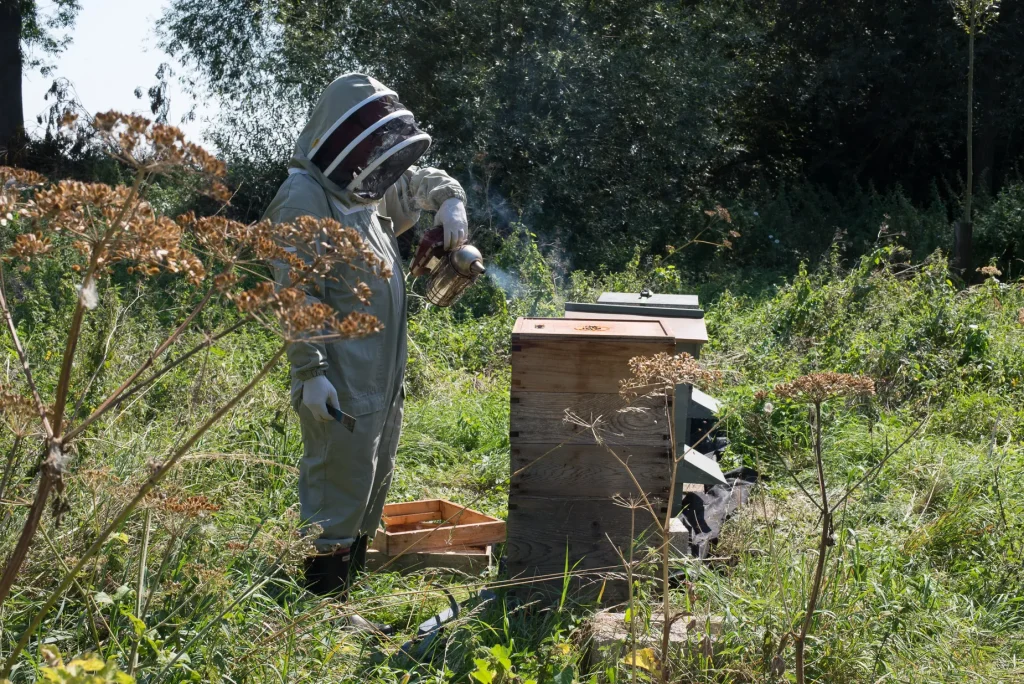 Gavin Darcy with a bee smoker at his apiary