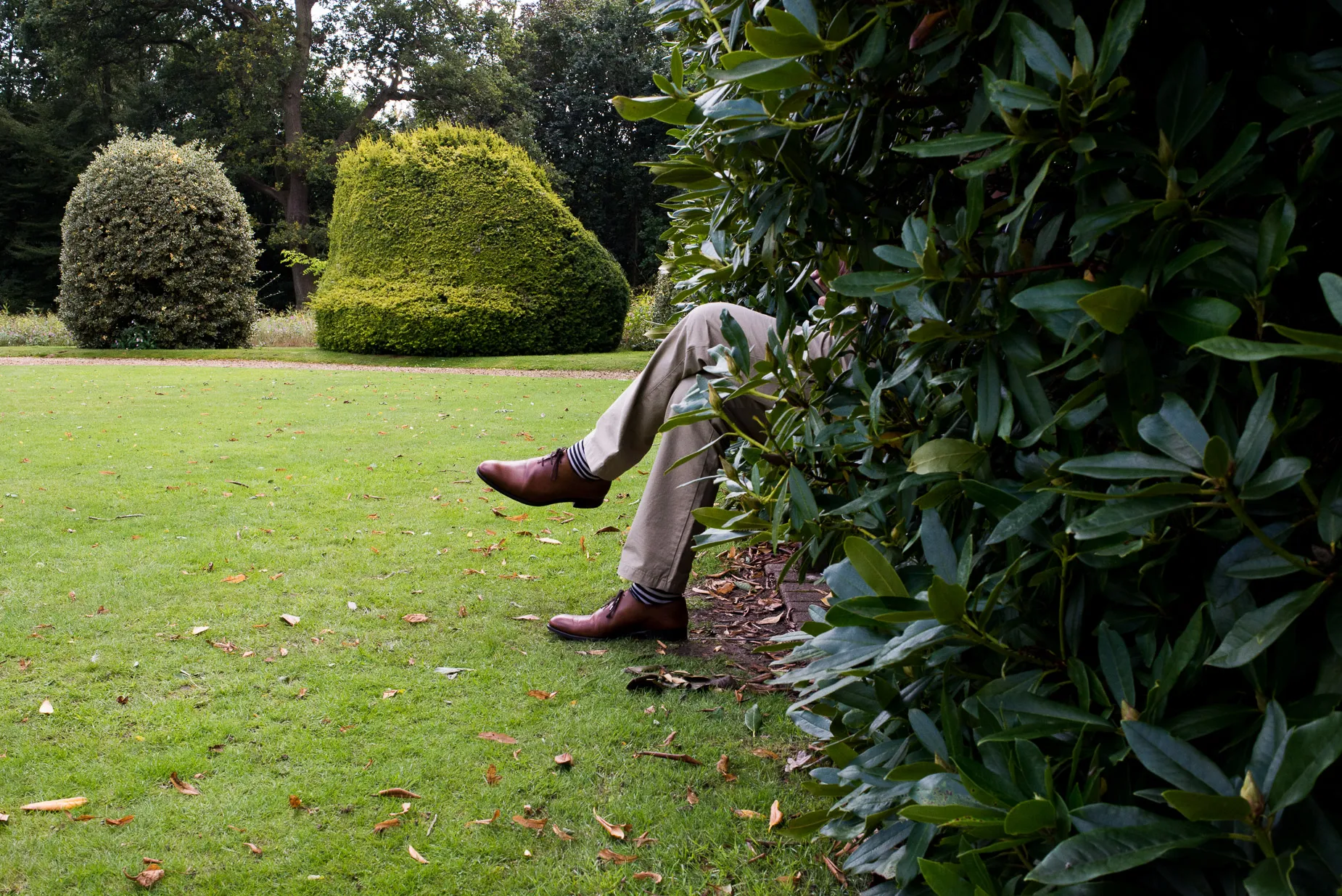 Bodyless crossed legs protrude from bush