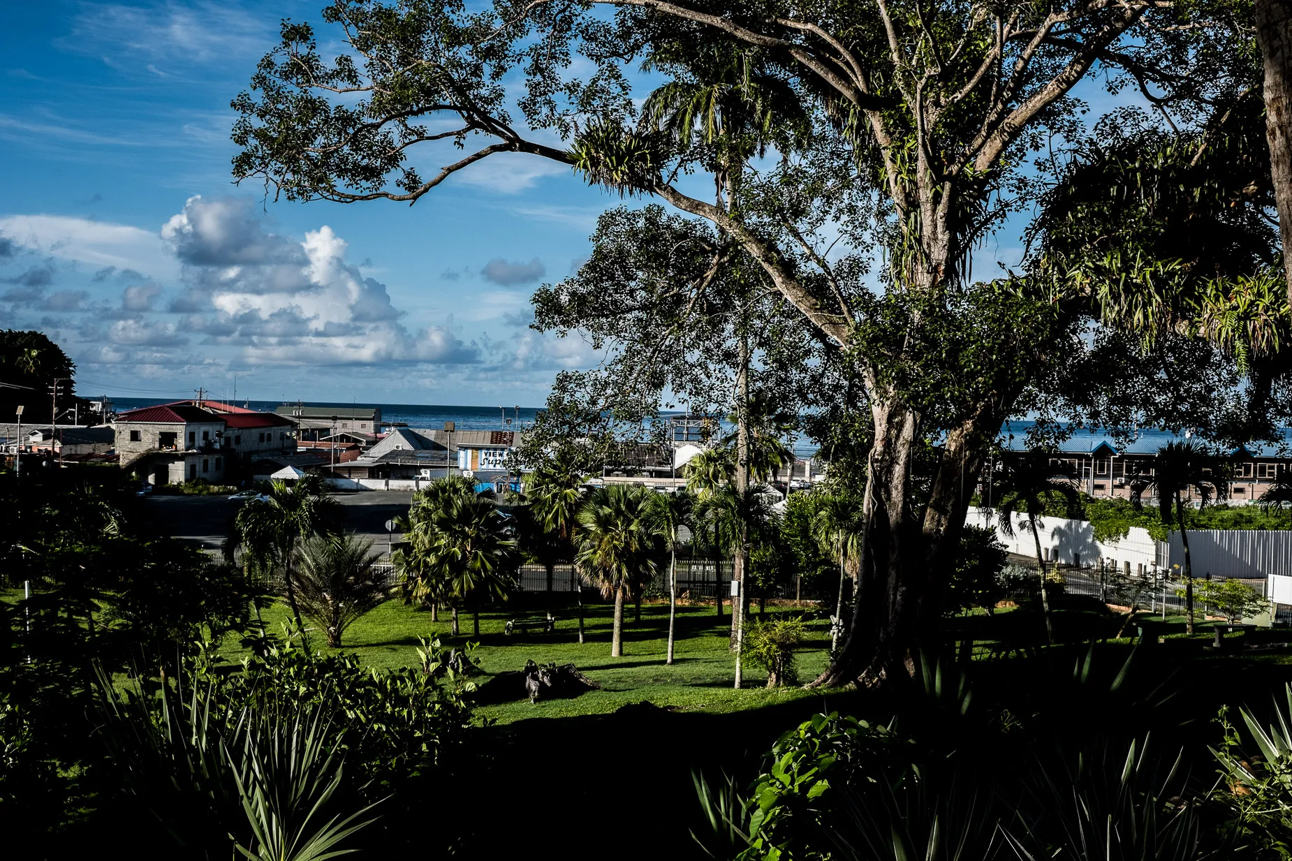 Early morning Scene in Scarborough Botanical gardens Tobago, Trinidad