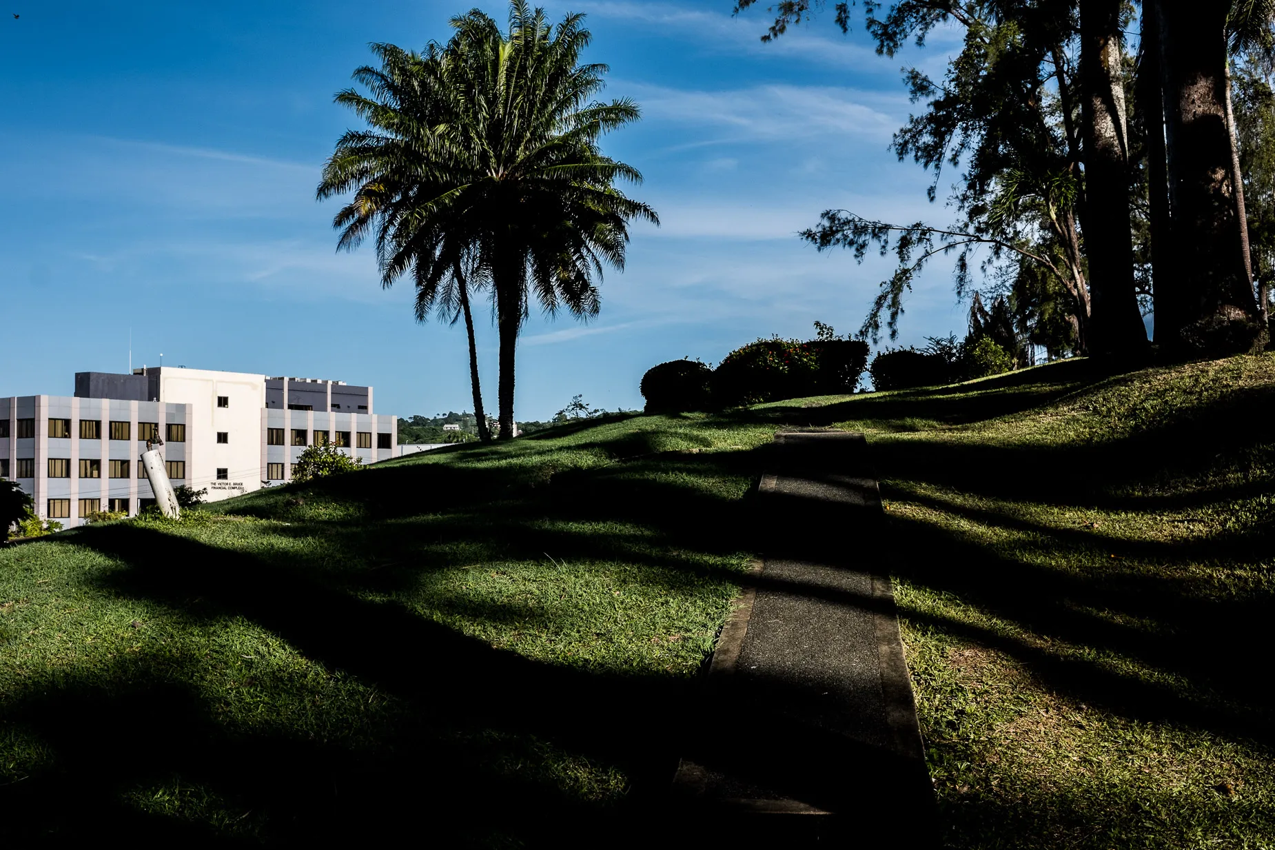 Early morning Scene in Scarborough Botanical gardens Tobago, Trinidad